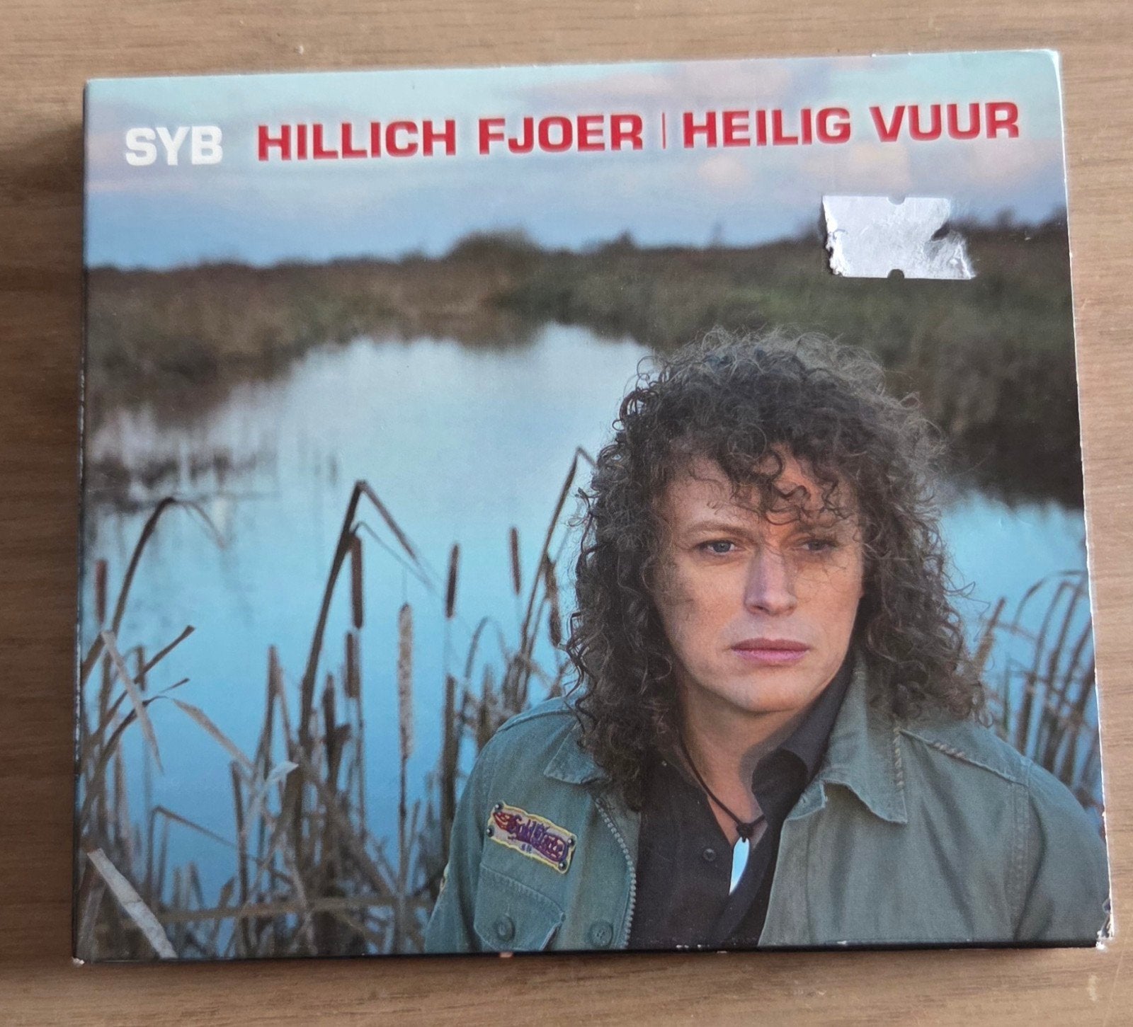 Syb van der Ploeg - Hillich Fjoer (CD), Inclusief boekje, Gebruikt, Ophalen of Verzenden, Pop