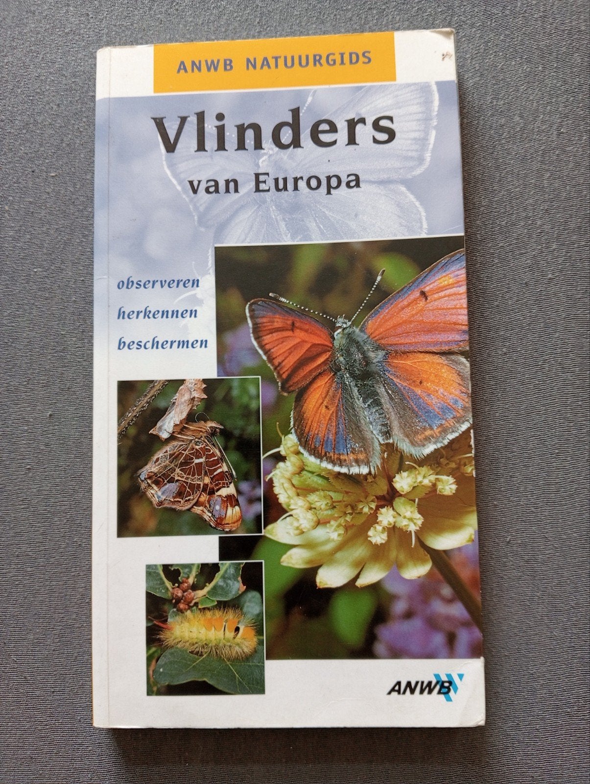 ANWB Natuurgids Vlinders van Europa, Ophalen of Verzenden, Gelezen, Natuur algemeen, Onbekend