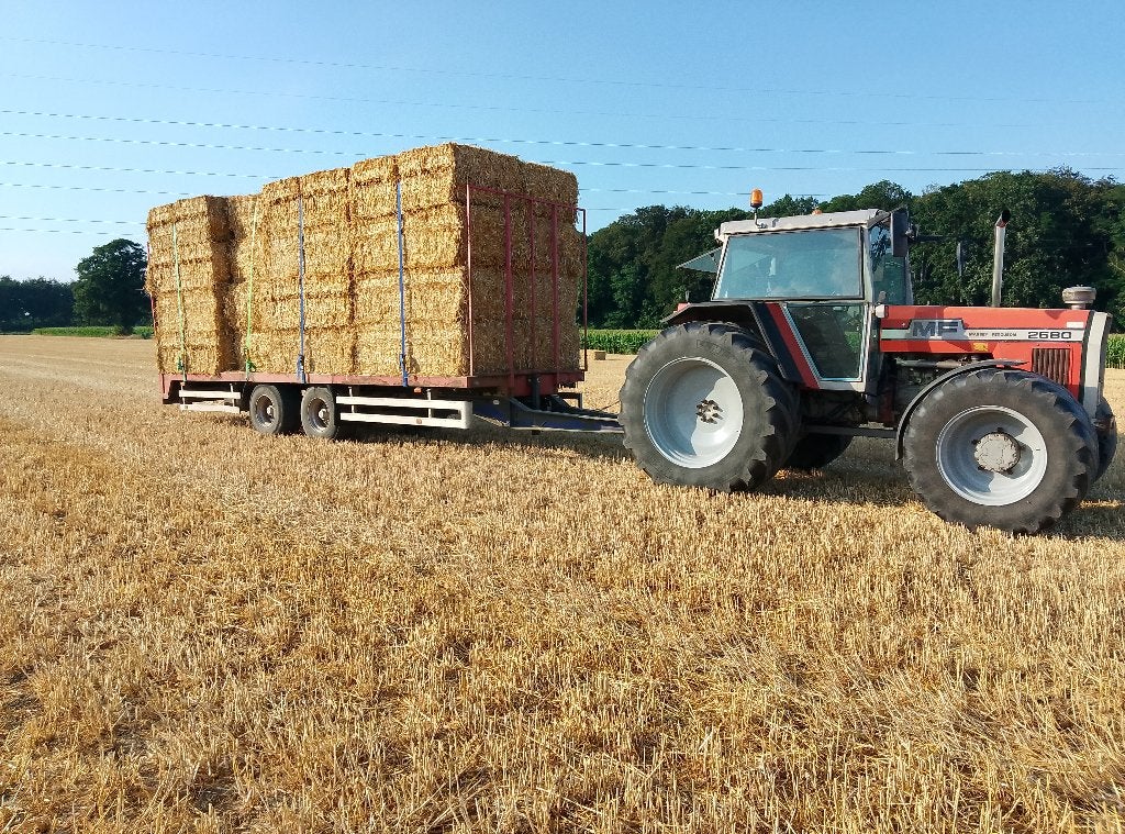 Grote balen stro, Dieren en Toebehoren, Ophalen, Vee