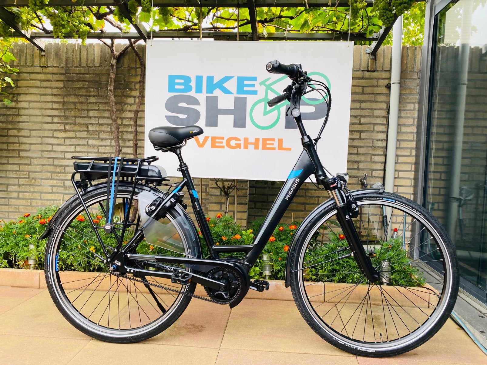 Elektrische Pegasus Bosch Middenmoto Active Line Plus.D55, 53 tot 56 cm, Ophalen of Verzenden, Zo goed als nieuw, 5467kc