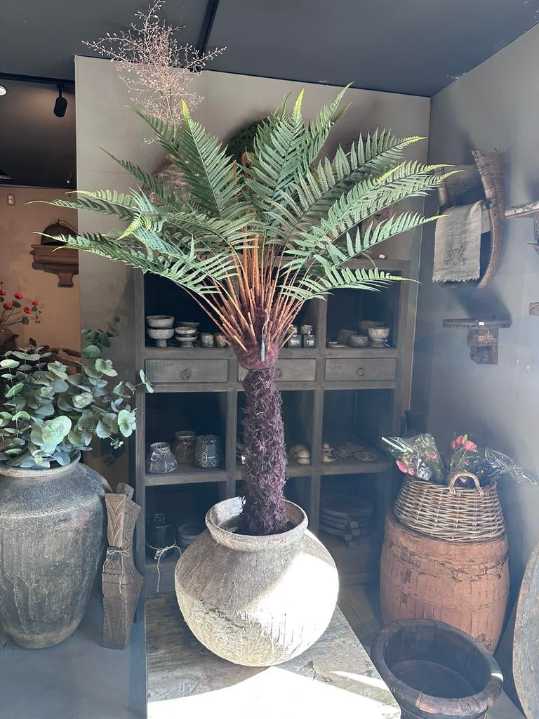Kunstplant Dicksonia 127 cm, Antiek en Kunst, Curiosa en Brocante, Ophalen of Verzenden