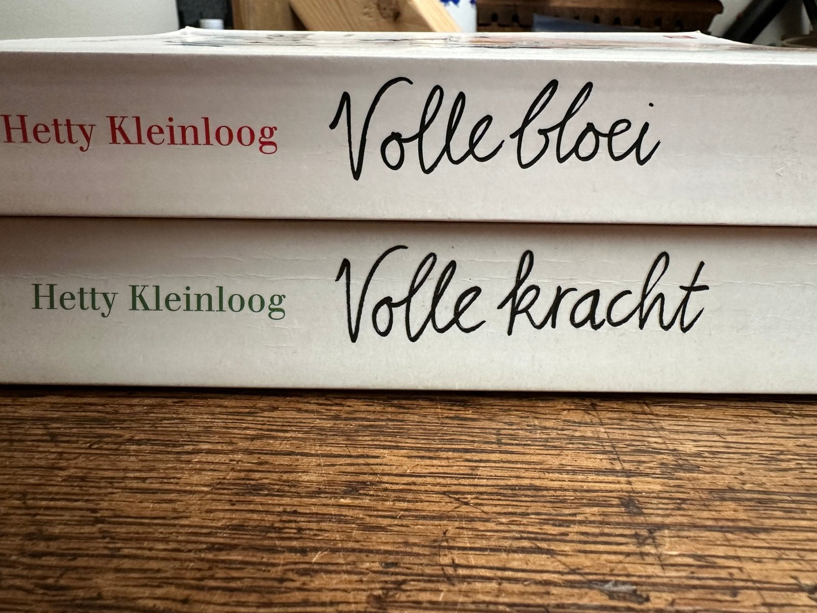 Hetty Kleinloog: 2 titels, Ophalen of Verzenden, Zo goed als nieuw