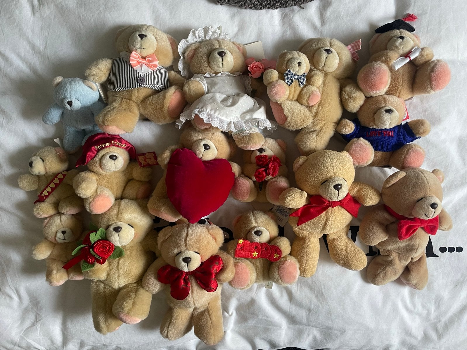 Forever Friends Knuffelberen Collectie - Diverse Maten en Th, Overige merken, Beer, Ophalen of Verzenden, Zo goed als nieuw