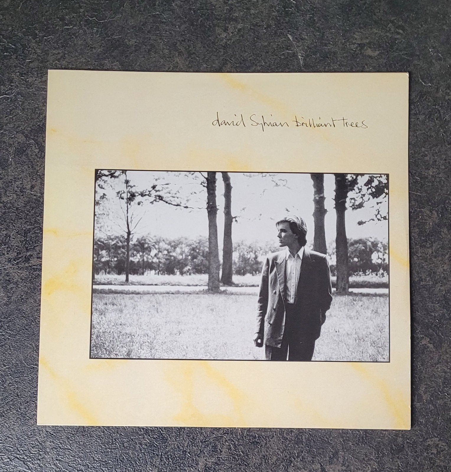 David Sylvian, Ophalen of Verzenden, LP