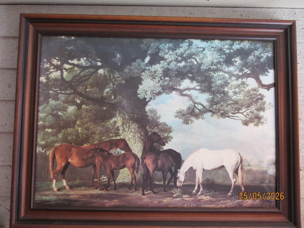 schilderij paardengroep, Ophalen of Verzenden, Zo goed als nieuw, 50 tot 75 cm, Schilderij