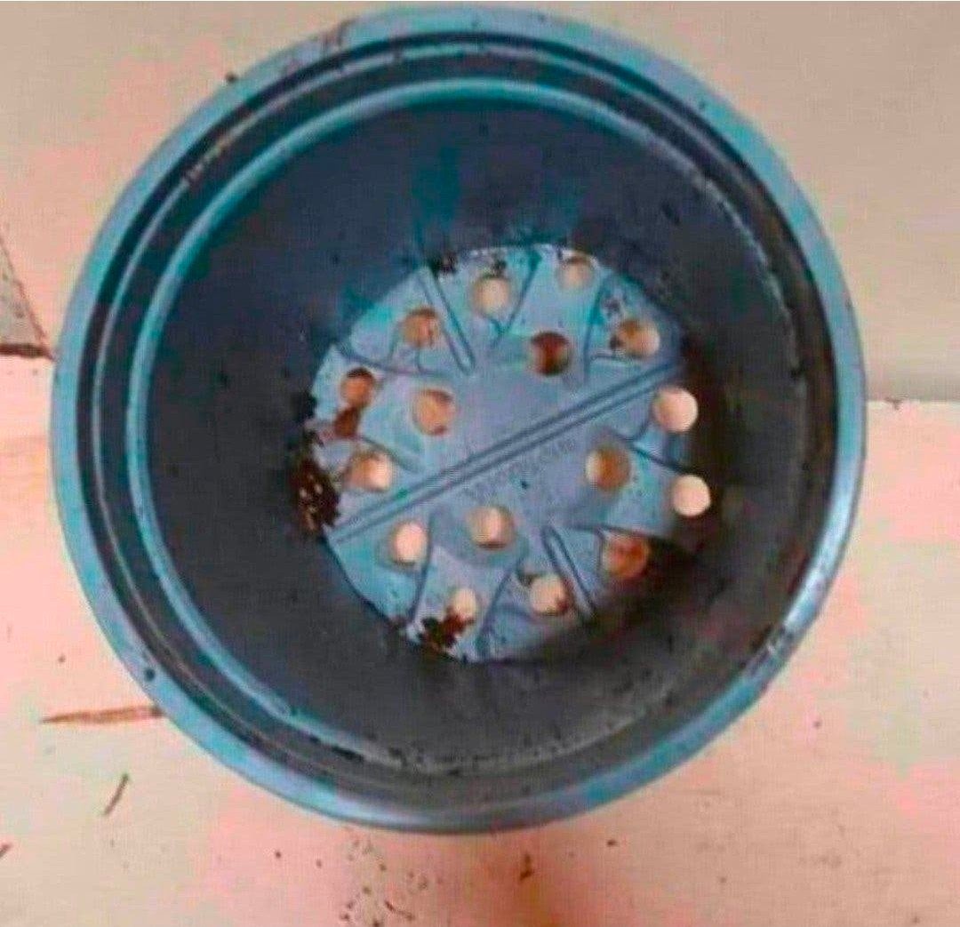kweekpotten plantenpotten bloempotten 2 liter, Kunststof, Gebruikt, Rond, Ophalen of Verzenden