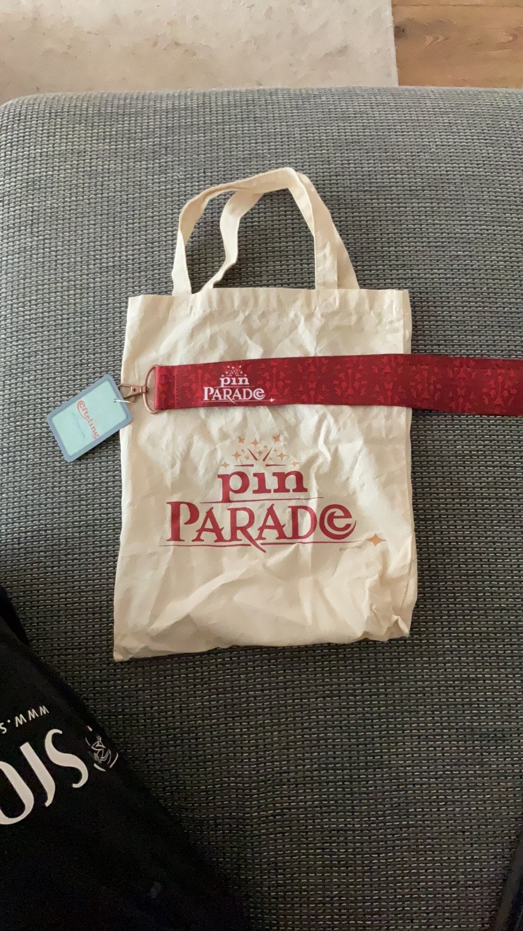 Efteling pin parade tasje en keycord, Ophalen of Verzenden, Zo goed als nieuw, Button of Speldje