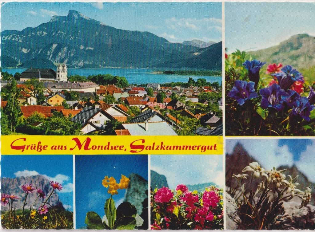 Oostenrijk Mondsee Salzkammergut Bloemen, Verzenden, 1960 tot 1980, Ongelopen, Natuur
