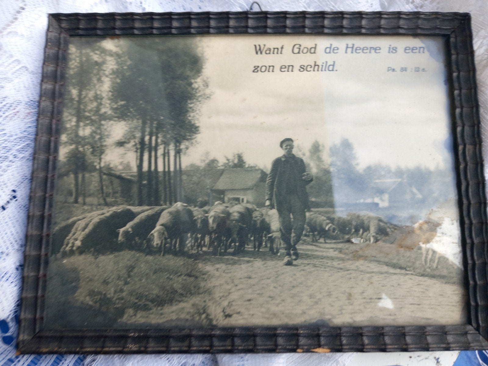 Herder met schapen - 'Want God de Heere is een zon, Ophalen of Verzenden, Christendom | Protestants