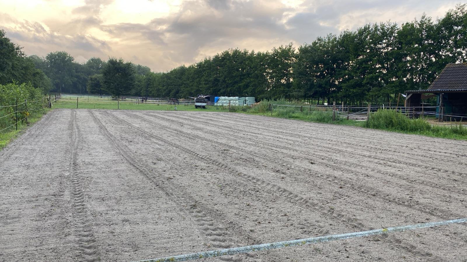Plek vrij voor 1 à 2 paarden | 24/7 buiten | ’s Gravenmoer, Dieren en Toebehoren, Stalling