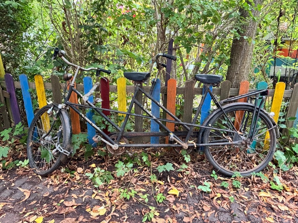 Klassieke tandem Veeno Super Klasse, Ophalen, Schijfrem, Overige merken, Jaren '50