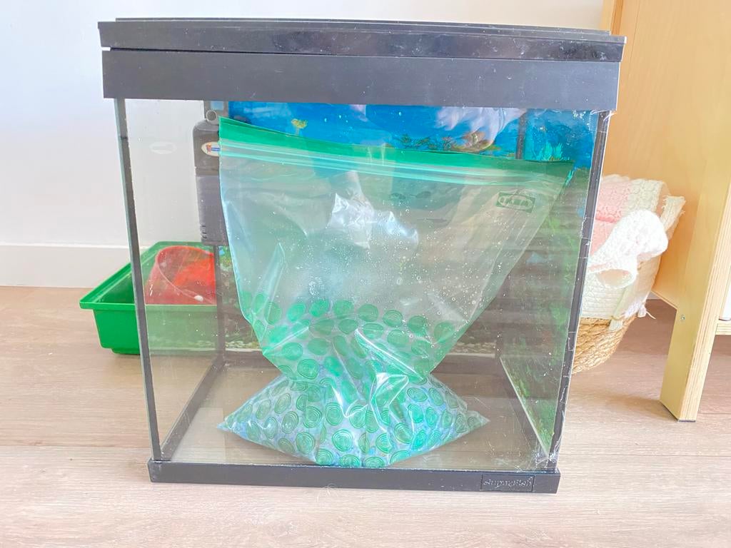 Aquarium 35x20x40, Ophalen, Gebruikt, Pomp, Leeg aquarium
