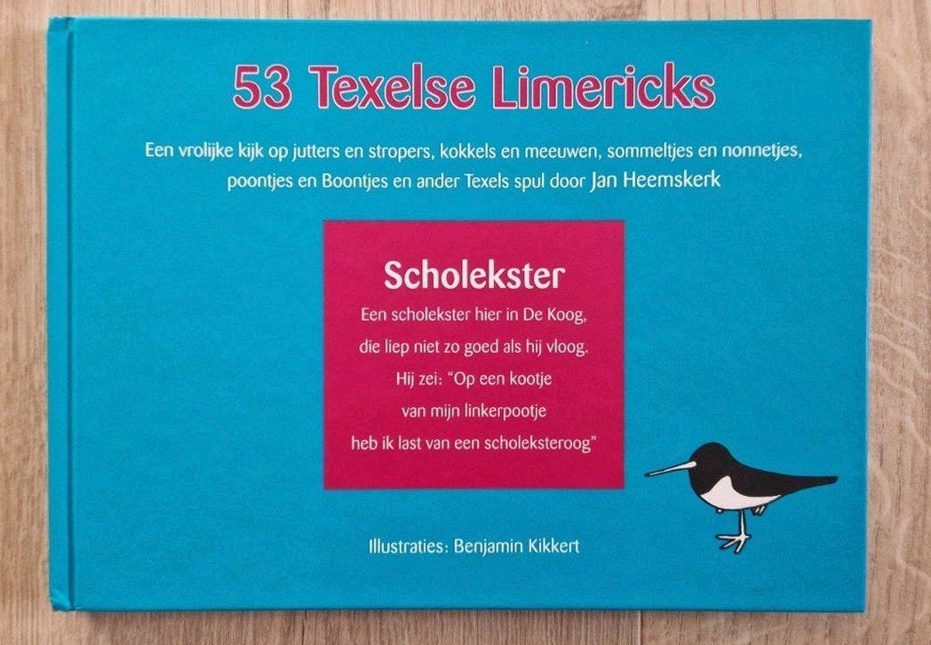 53 Texelse Limericks - Jan Heemskerk hardcover, Boeken, Ophalen of Verzenden, Zo goed als nieuw