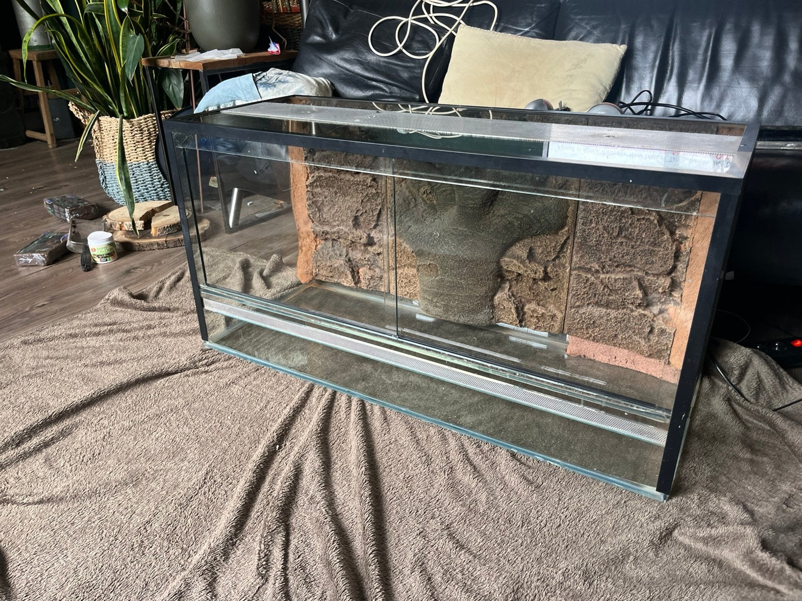 Glazen Terrarium met achtergrond, Dieren en Toebehoren, Ophalen, Zo goed als nieuw, Terrarium of Paludarium
