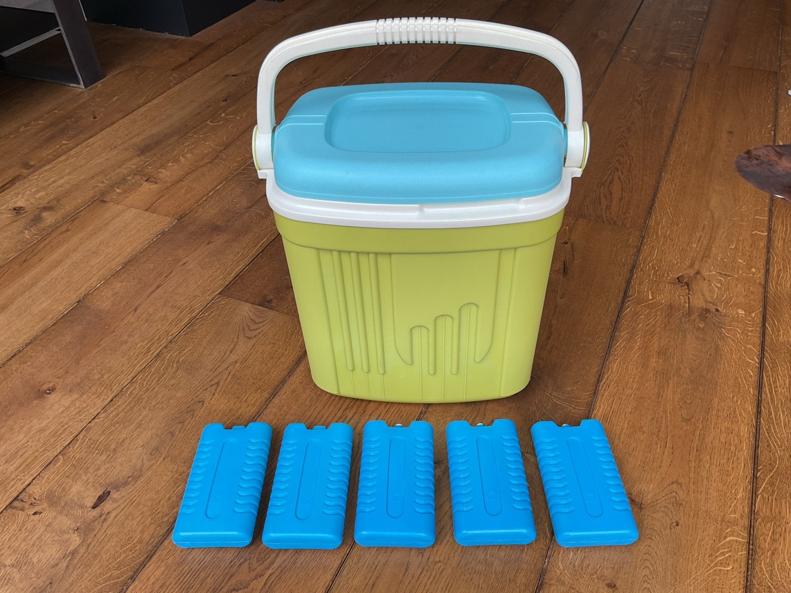 Grote Koelbox met 5 Koelelementen - Groen/Turquoise, Ophalen, Gebruikt, Koelbox, Koelelement