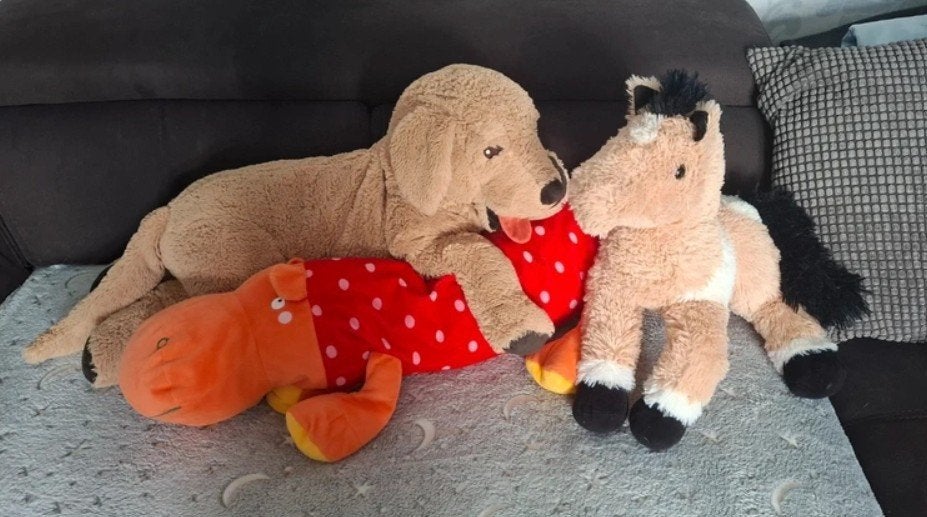 Set 3 zachte IKEA knuffels – Hond, Paard, Rups – Nette staat, Gebruikt, IKEA, Middelgroot (20 tot 80 cm), Meerkleurig