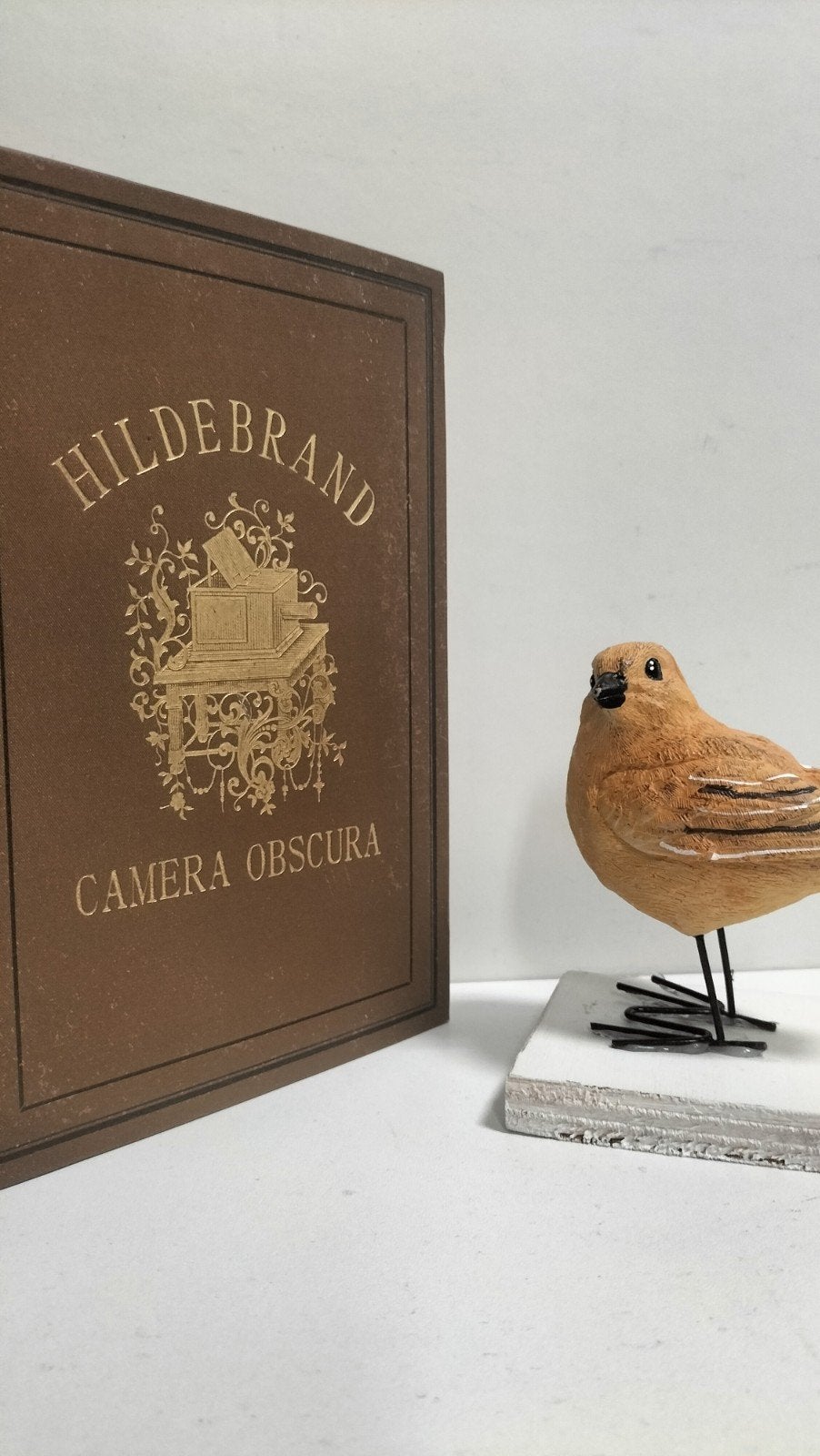 Hildebrand, Camera Obscura, Ophalen of Verzenden, Gelezen