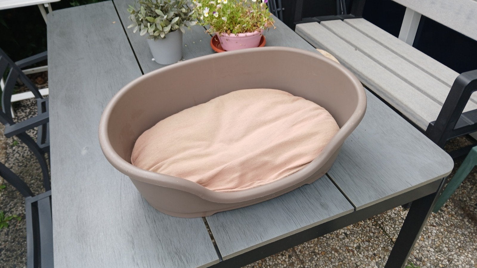 Honden- / Kattenmand te koop, Ophalen