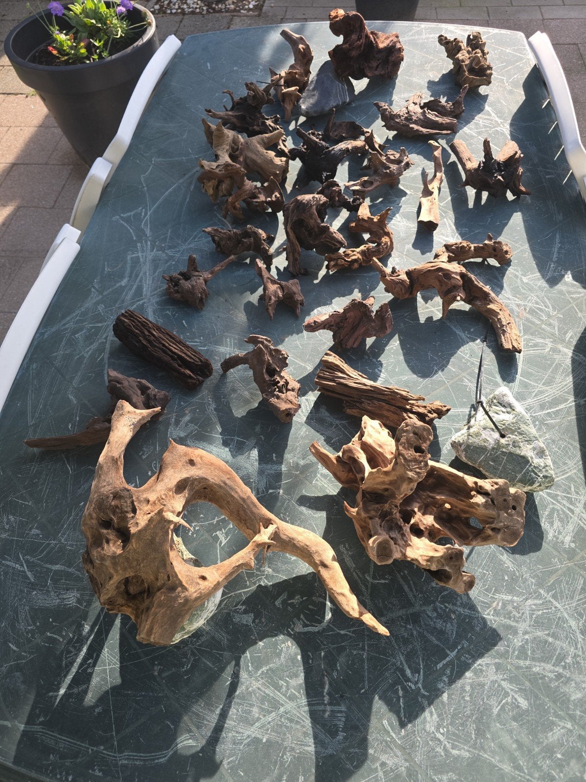 Aquarium hout, Dieren en Toebehoren, Ophalen, Plant(en), Steen of Hout