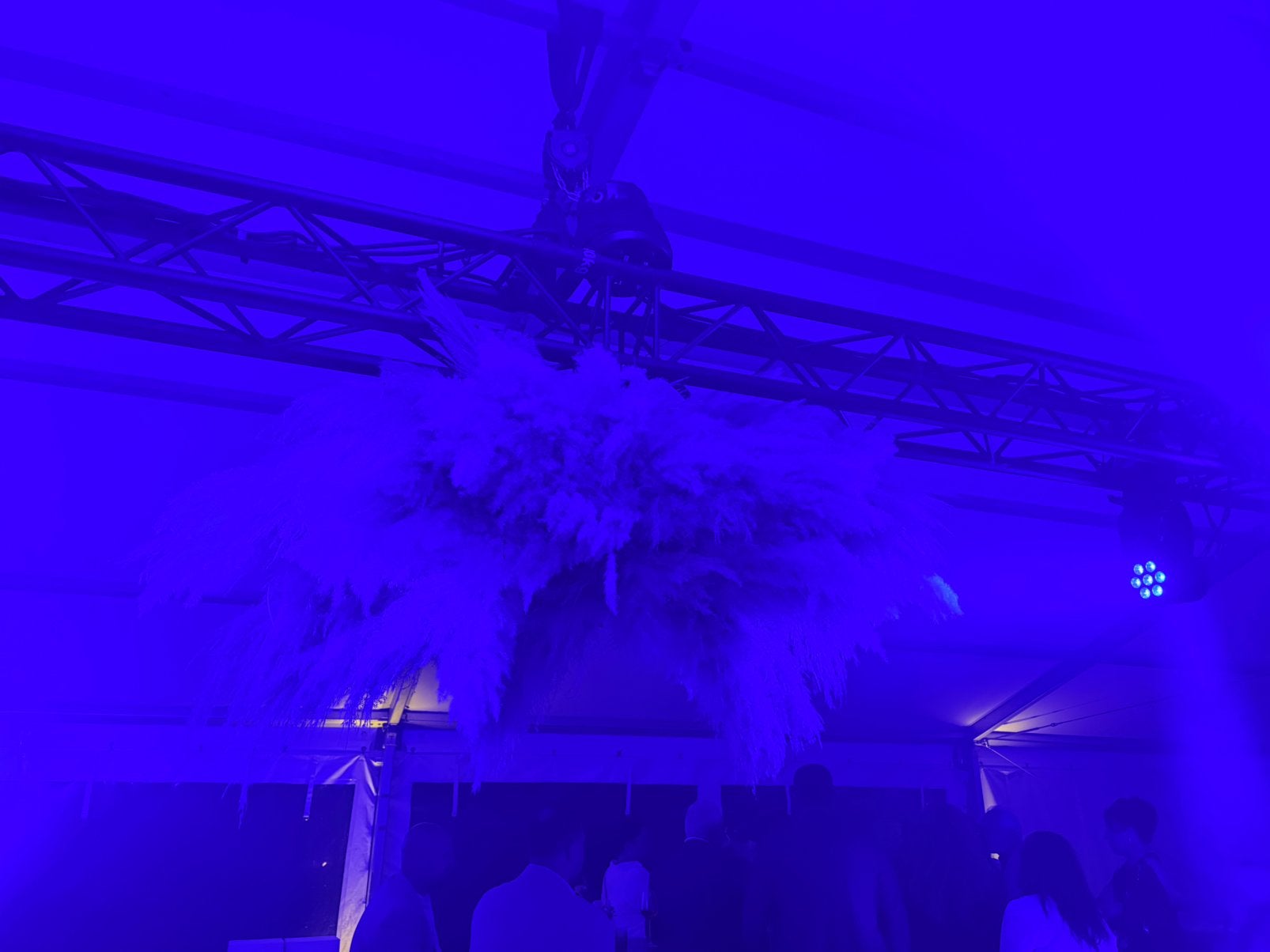 2x Pampa’s decoratieopject behemian trouw, Tuin en Terras, Ophalen of Verzenden, Zo goed als nieuw