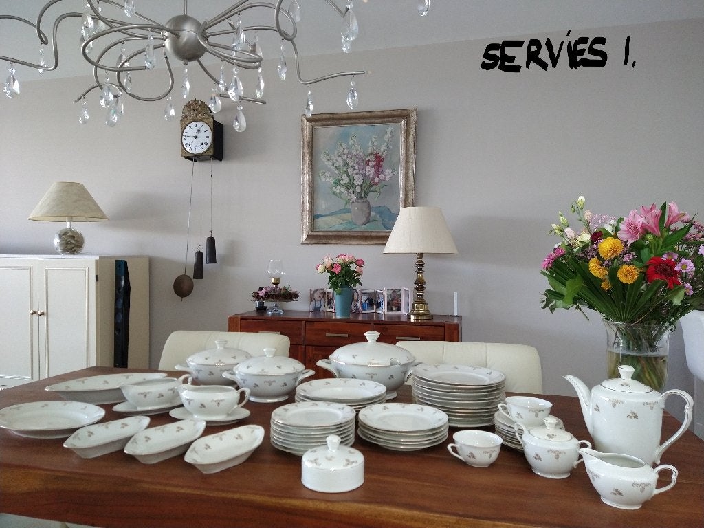 Bavaria servies, oud en stijlvol,, Gebruikt, Ophalen of Verzenden, Bord(en), Overige stijlen
