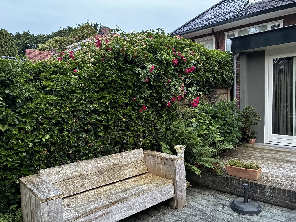 Tuinbank steigerhout, Ophalen, Gebruikt, Hout