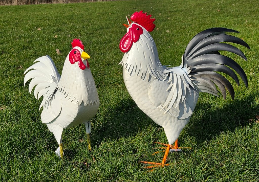 Haan /Hen / metaal / kippen / NIEUW, Dierenbeeld, Nieuw, Metaal, Info@huisentuindecoratiemarie.nl
