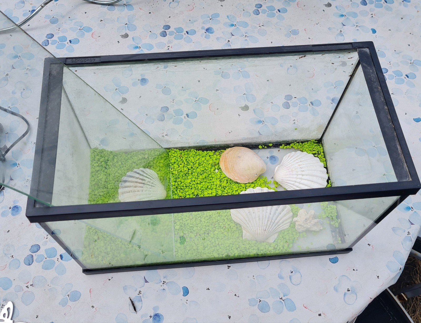 Klein Aquarium 40x20x25 cm met Decoratie (Schoonmaken), Dieren en Toebehoren, Ophalen, Inclusief deksel, Gebruikt, Leeg aquarium