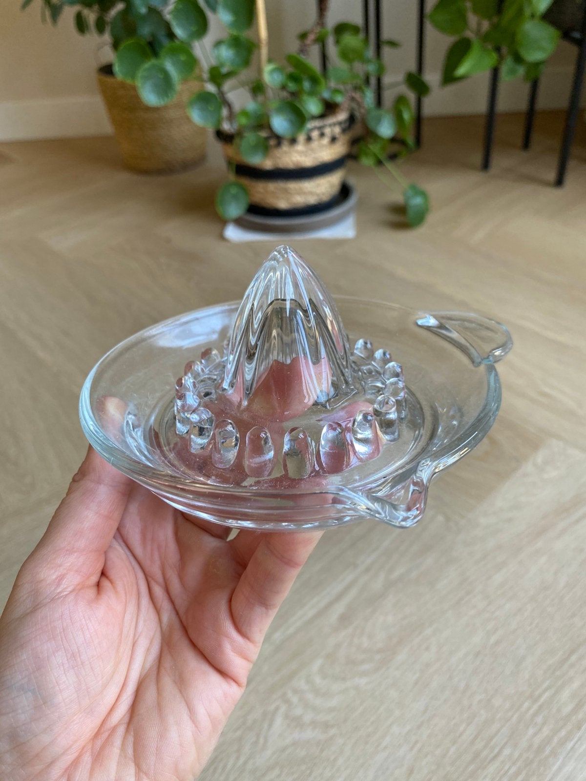 Glazen citruspers, Overige typen, Ophalen of Verzenden, Nieuw, Glas
