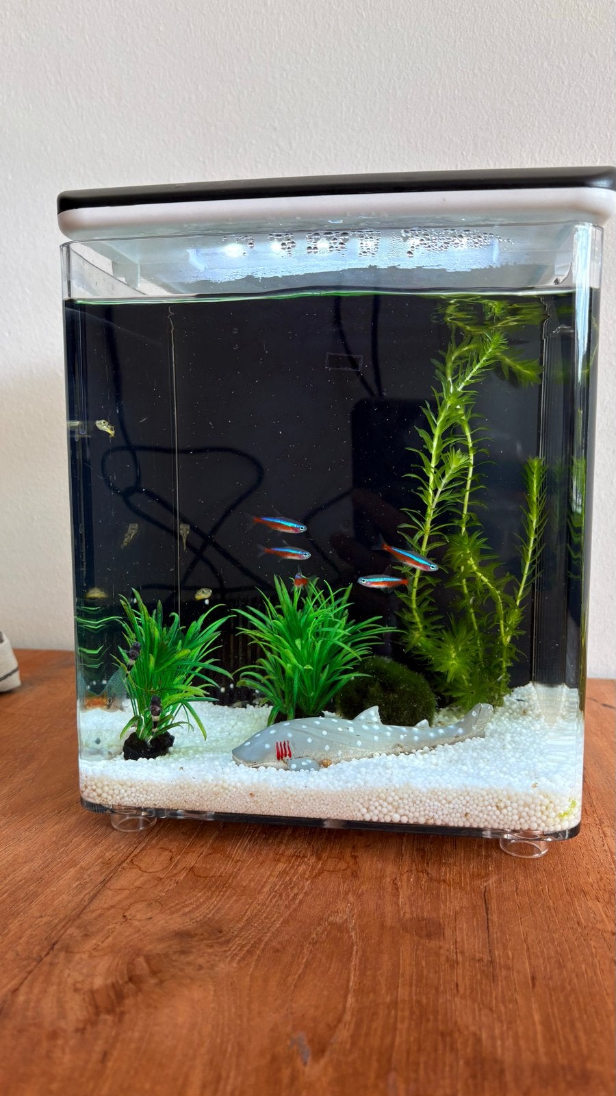 Superfish home 8 mini aquarium, Dieren en Toebehoren, Vissen | Aquaria en Toebehoren, Ophalen, Zo goed als nieuw, Leeg aquarium