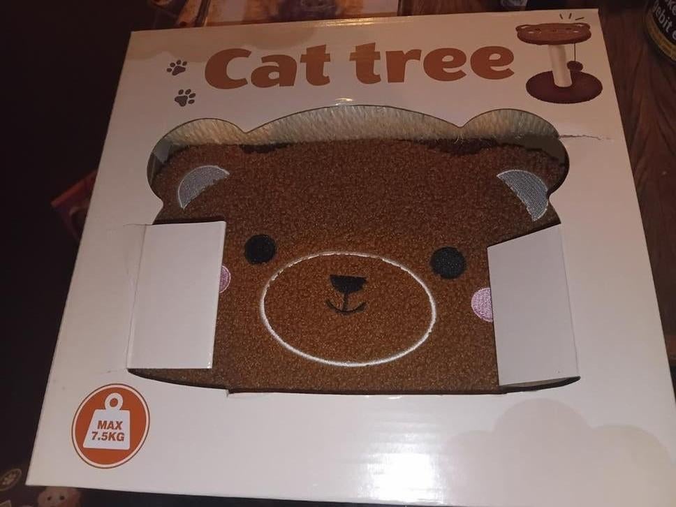 Katten krabpaal teddy beer, Ophalen of Verzenden, Nieuw