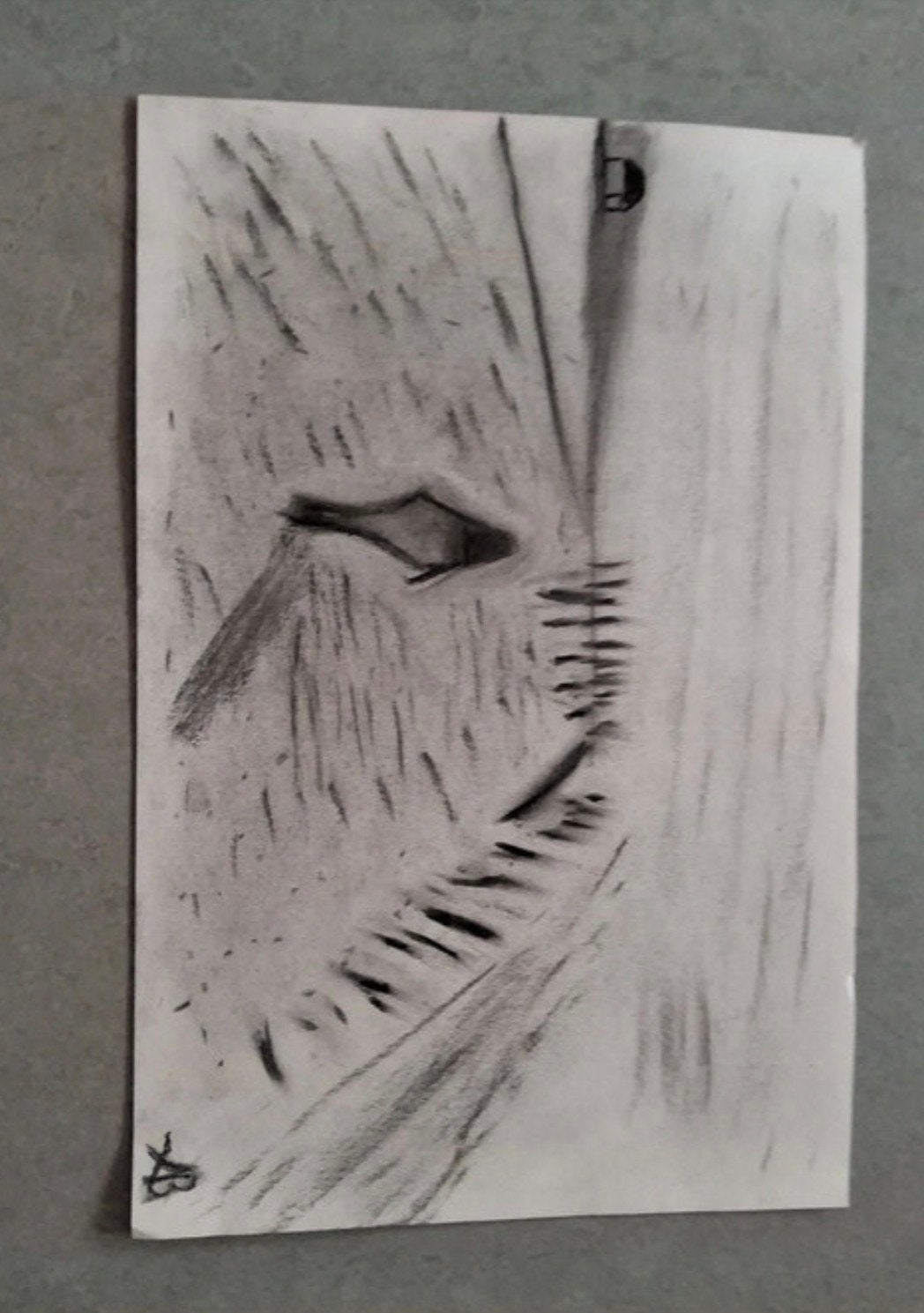Houtskooltekening Halve Marathon Wandelen Van Egmond #Art, Ophalen of Verzenden, Schilderij, Houtskooltekening, Handgemaakt