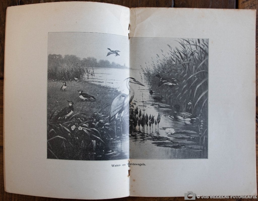 Schoolplaat boekje – Water en weidevogels    , Ophalen of Verzenden, Natuur en Biologie