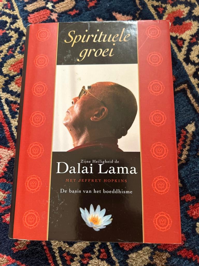 Jeffrey Hopkins - Spirituele groei, Jeffrey Hopkins; De Dalai Lama, Achtergrond en Informatie, Spiritualiteit algemeen, Ophalen of Verzenden