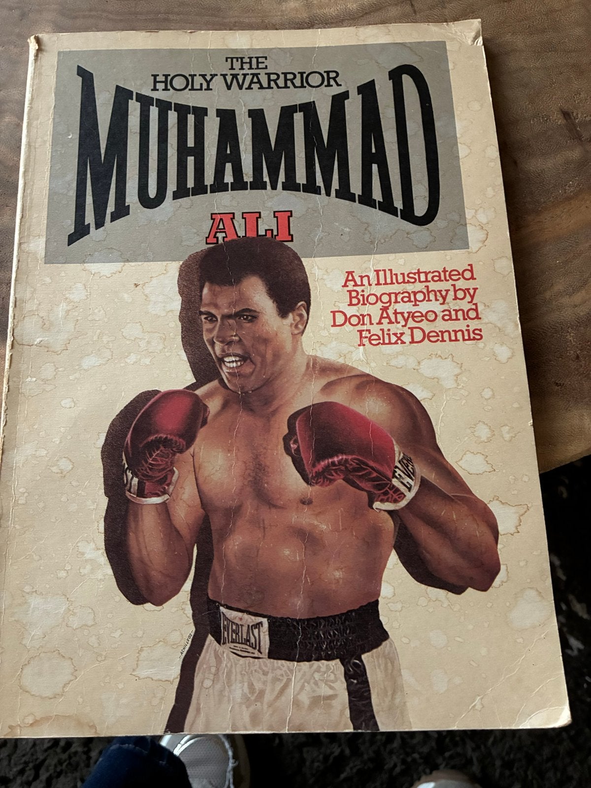 The Holy Warrior Muhammad Ali - Geïllustreerde Biografie, Ophalen of Verzenden, Gelezen, Sport