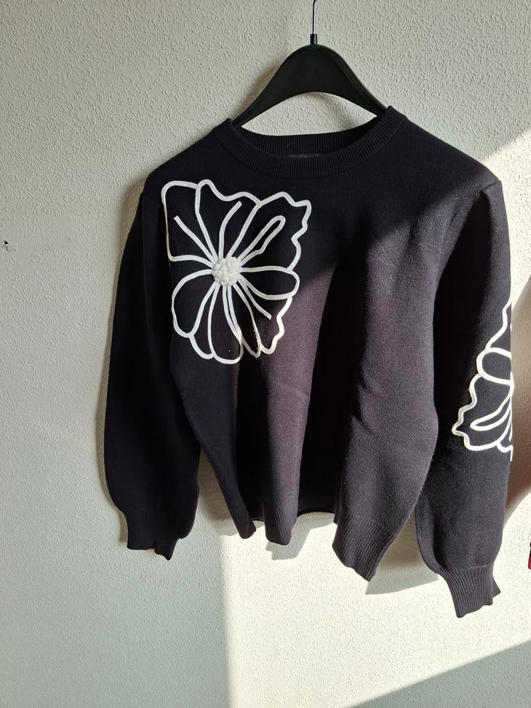 Partij dameskleding: diverse merken, stijlen en maten, Kleding | Dames, Truien en Vesten, Zo goed als nieuw, Maat 38/40 (M), Overige kleuren