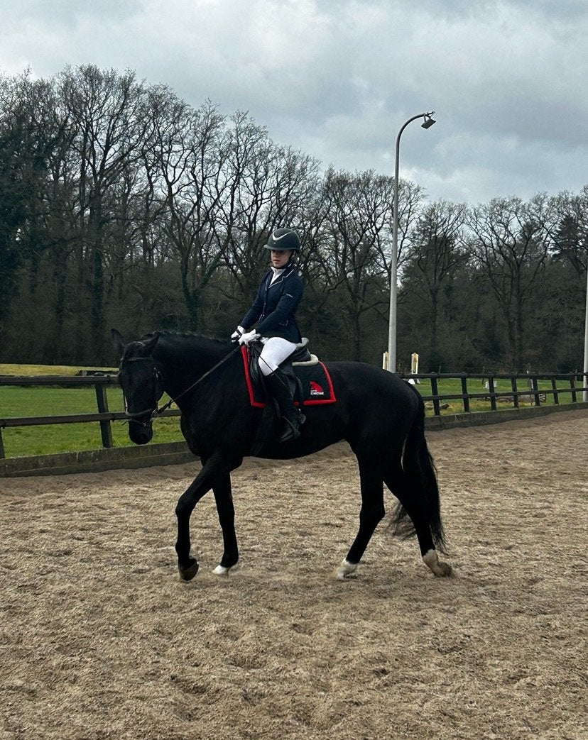 VERZORGPONY/PAARD GEZOCHT, Dieren en Toebehoren, Paarden en Pony's | Verzorgingsproducten, Ophalen of Verzenden