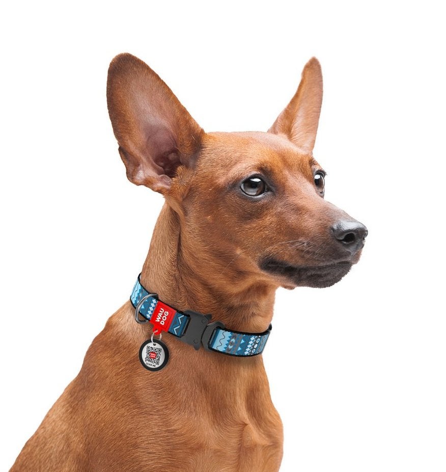 WAUDOG Ethno Blue Nylon Halsband S Nekomtrek 23-35 cm -35%!, Dieren en Toebehoren, Ophalen of Verzenden, Nieuw