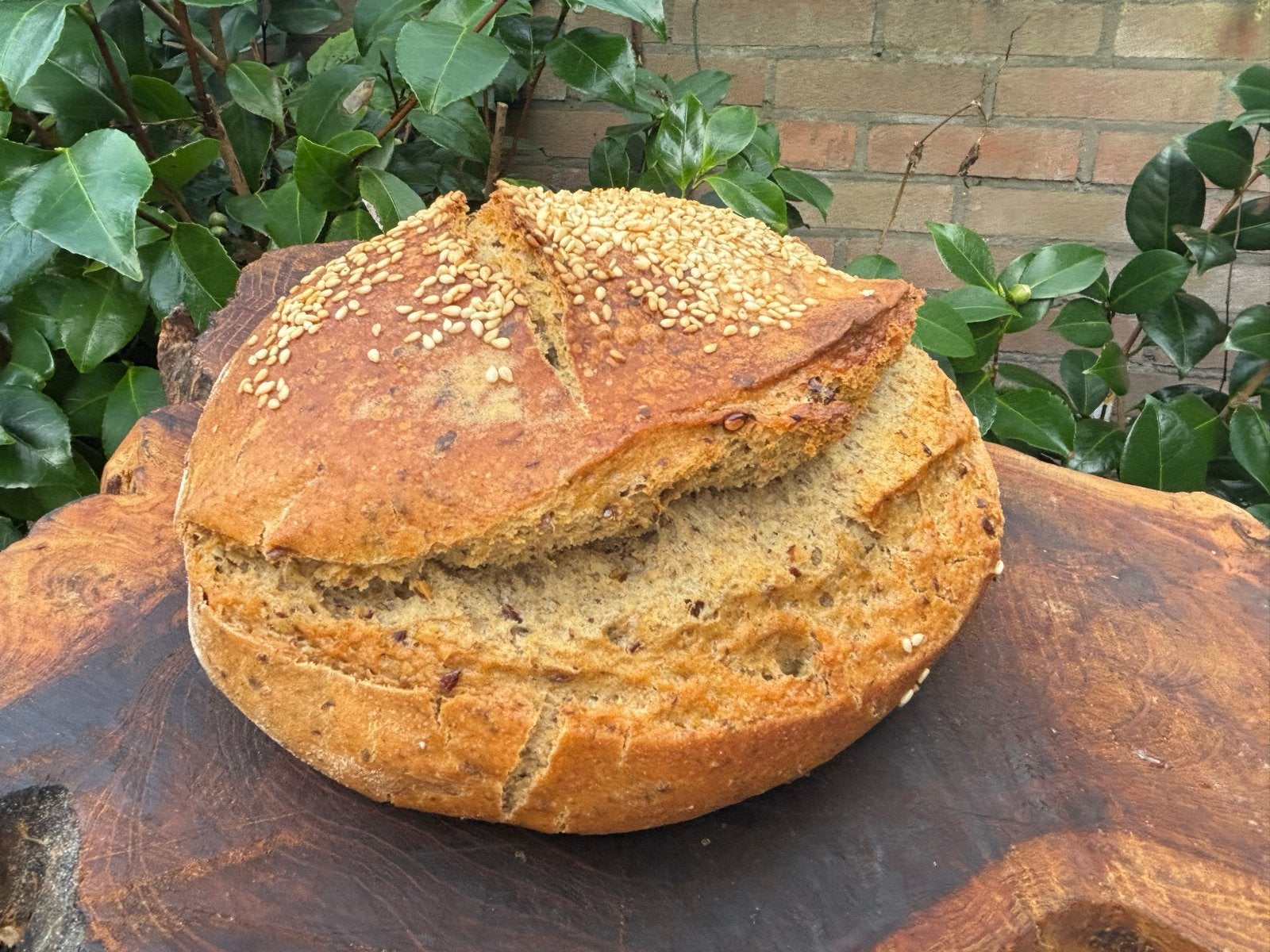 Zuurdesem starter gezond zuurdesem brood, Diversen, Verzenden
