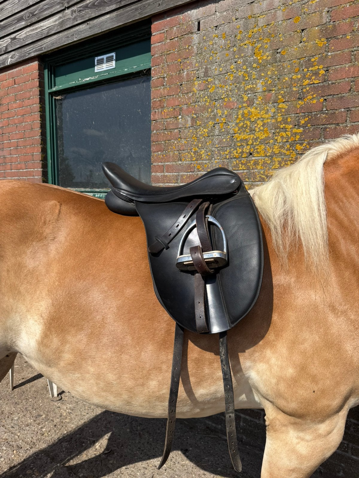 Thorowgood T4 Cob dressuurzadel, Ophalen, Dressuur