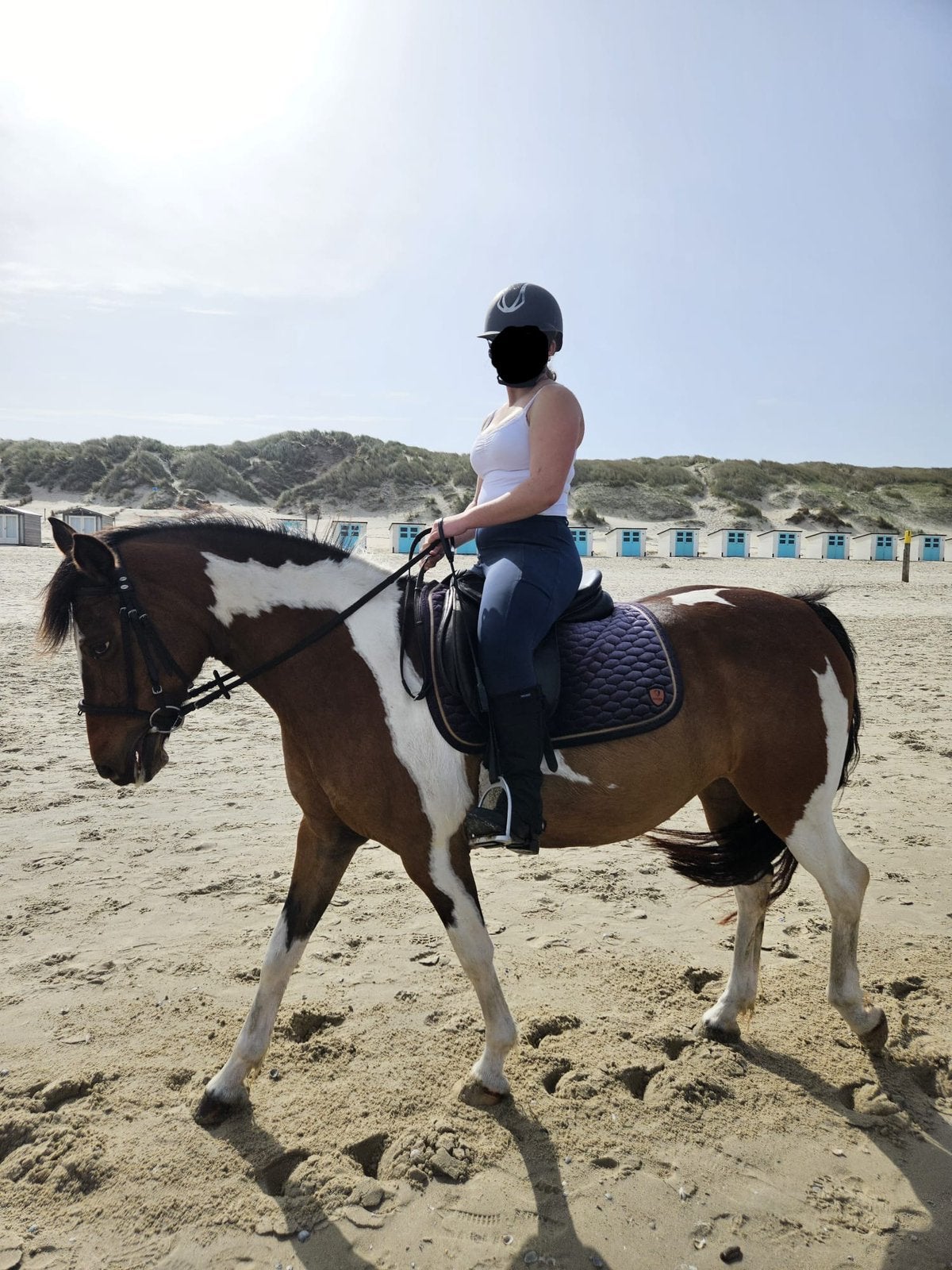 Verzorger aangeboden verzorgpony/paard gezocht, Dieren en Toebehoren, Ophalen, Zo goed als nieuw