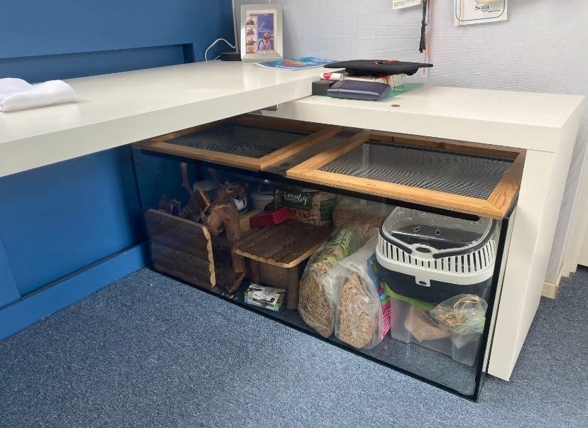 Hamster hok met toebehoren 120x50x50 cm, Dieren en Toebehoren, Zo goed als nieuw, 75 tot 110 cm, Ophalen, Minder dan 60 cm