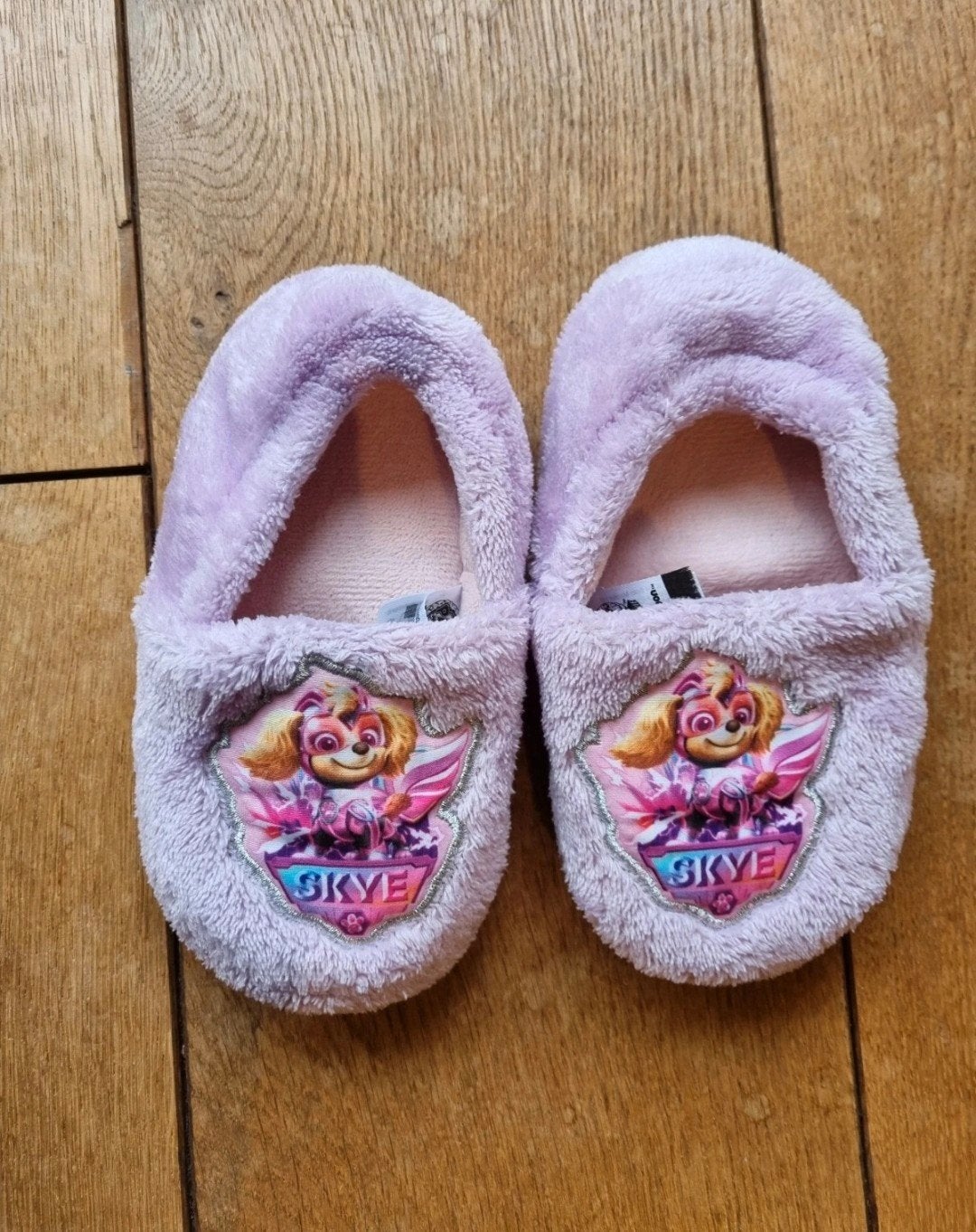 Paw Patrol sloffen maat 27, Ophalen of Verzenden, Jongetje of Meisje, Slofjes