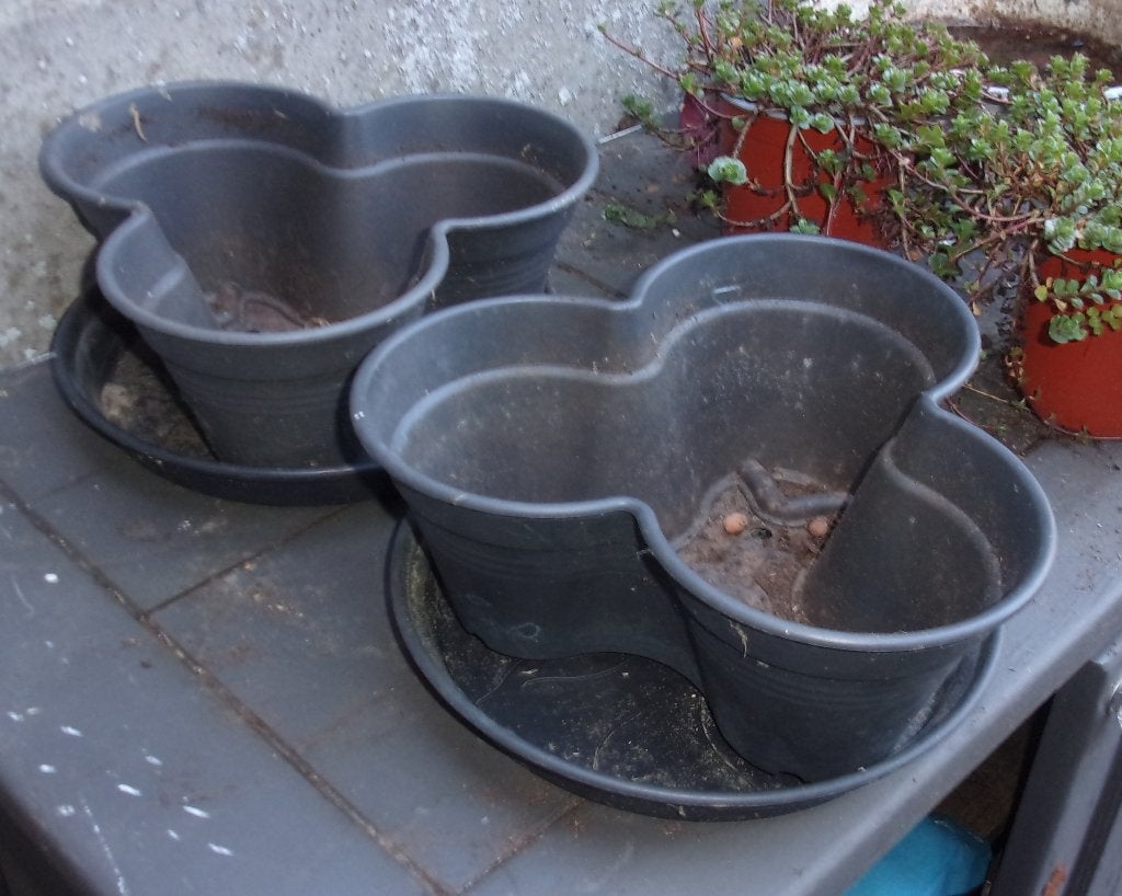 2 Buiten plantenbakken met onderbord, Kunststof, Gebruikt, Minder dan 30 cm, Rond