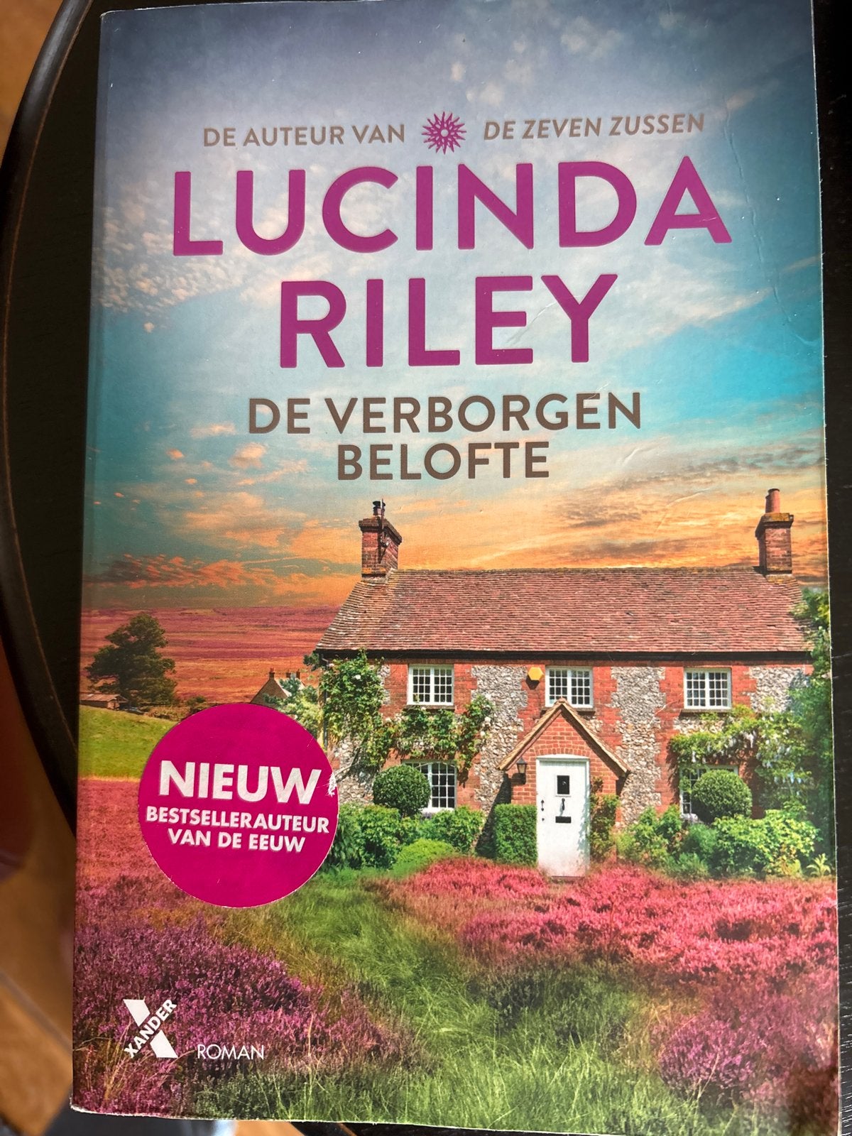 Lucinda Riley - De Verborgen Belofte, Ophalen of Verzenden, Gelezen, Nederland