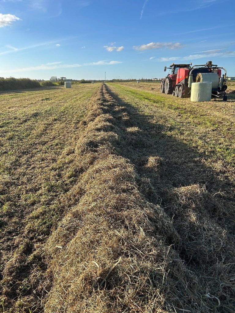 Ronde balen, Dieren en Toebehoren, Ophalen, Vee
