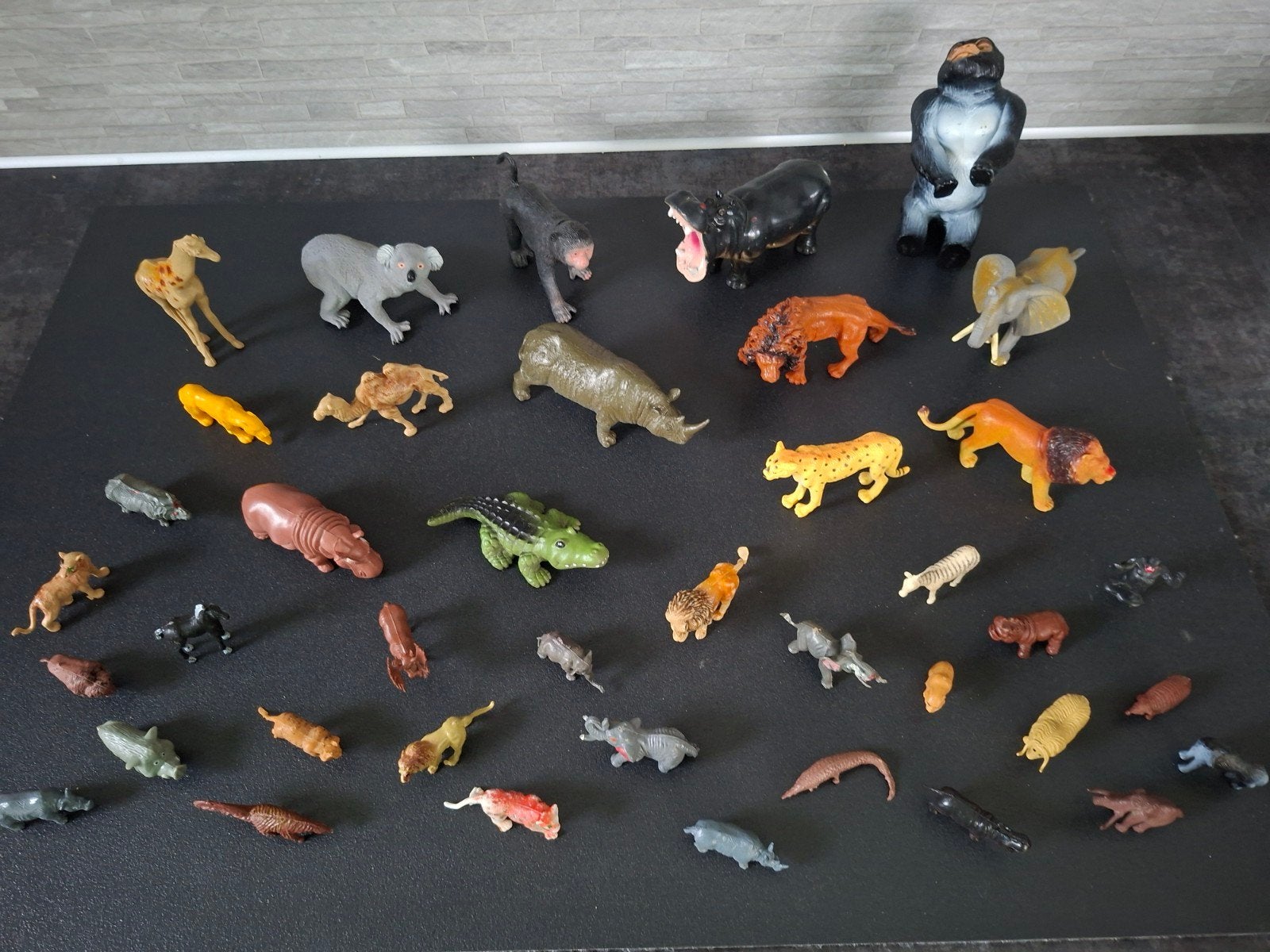Dieren die leven in de dierentuin 40 dieren groot en klein, Verzamelen, Ophalen of Verzenden, Gebruikt, Wild dier, Overige typen