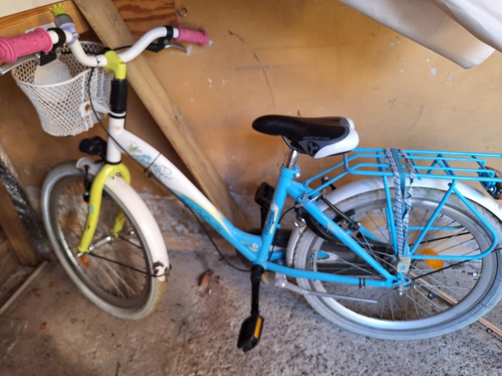 24 inc Alpina meisjesfiets, Terugtraprem, Alpina, Ophalen of Verzenden, Handrem