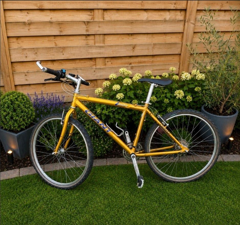 Goud-21.5 inch-GIANT-MTB-ALUMINIUM, Fietsen en Brommers, 53 tot 57 cm, Ophalen, Giant