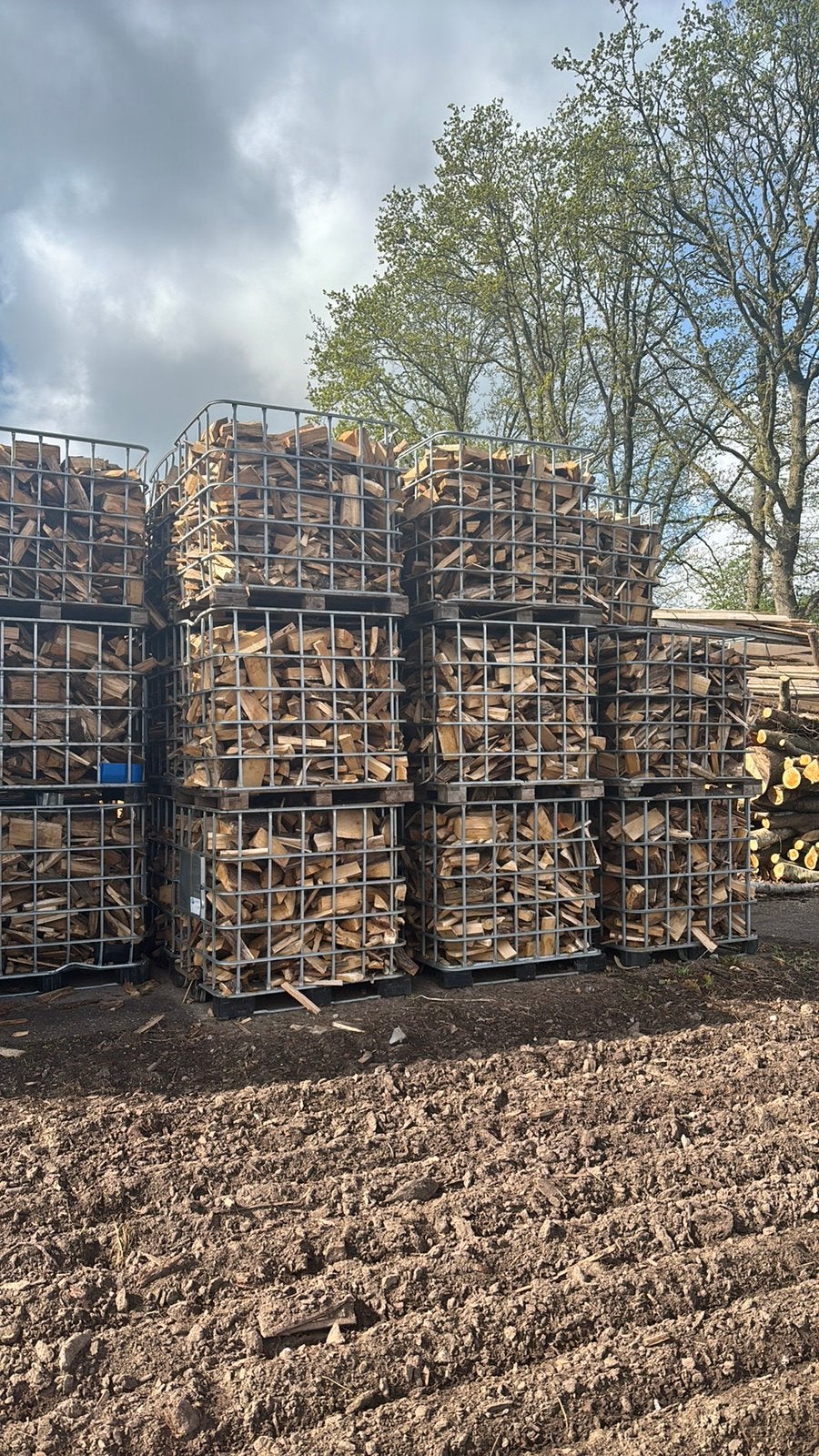 Brandhout, Minder dan 3 m³, Ophalen